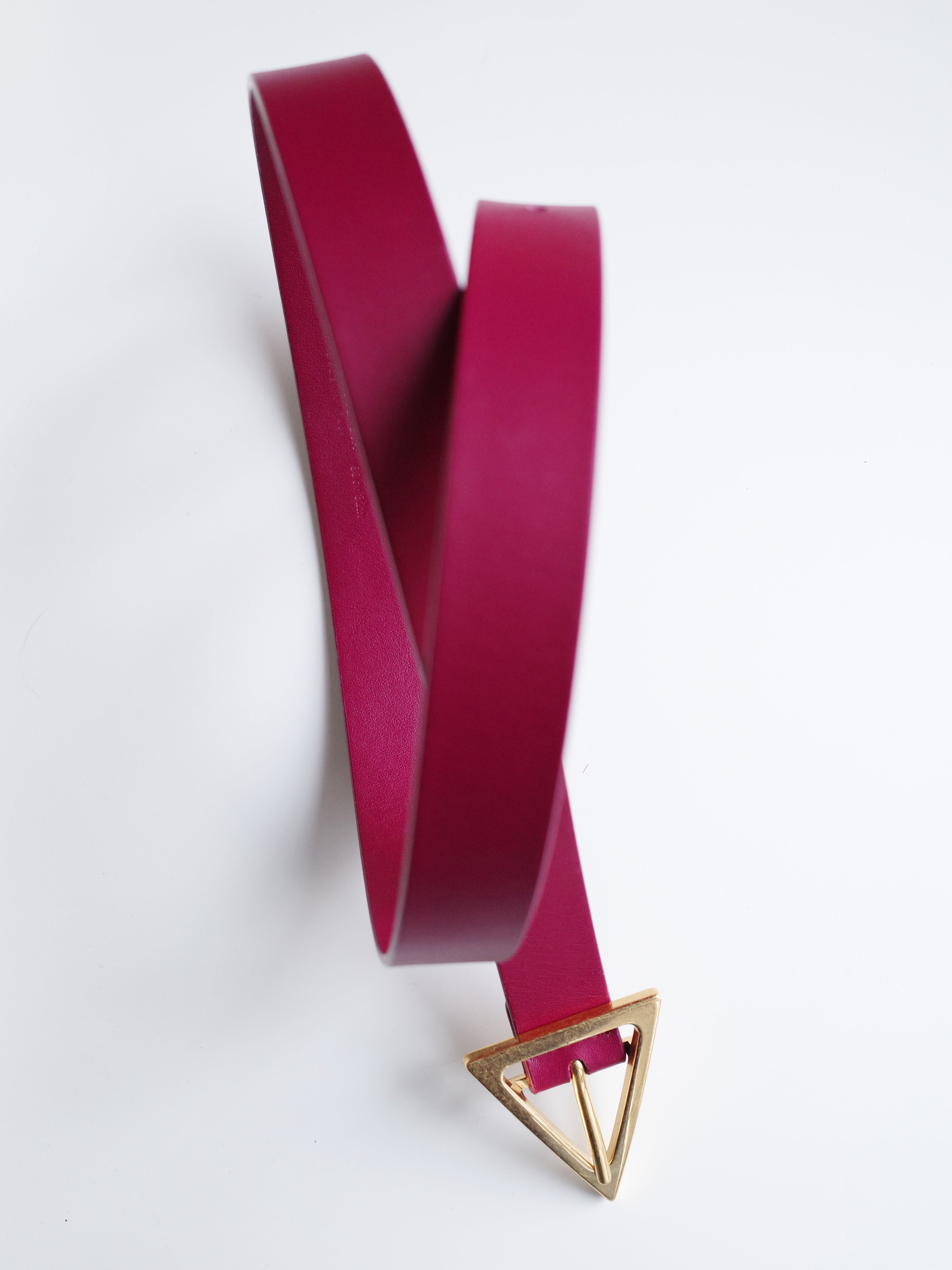 Bottega Veneta Pink Triangle Buckle Belt – FIRE 火