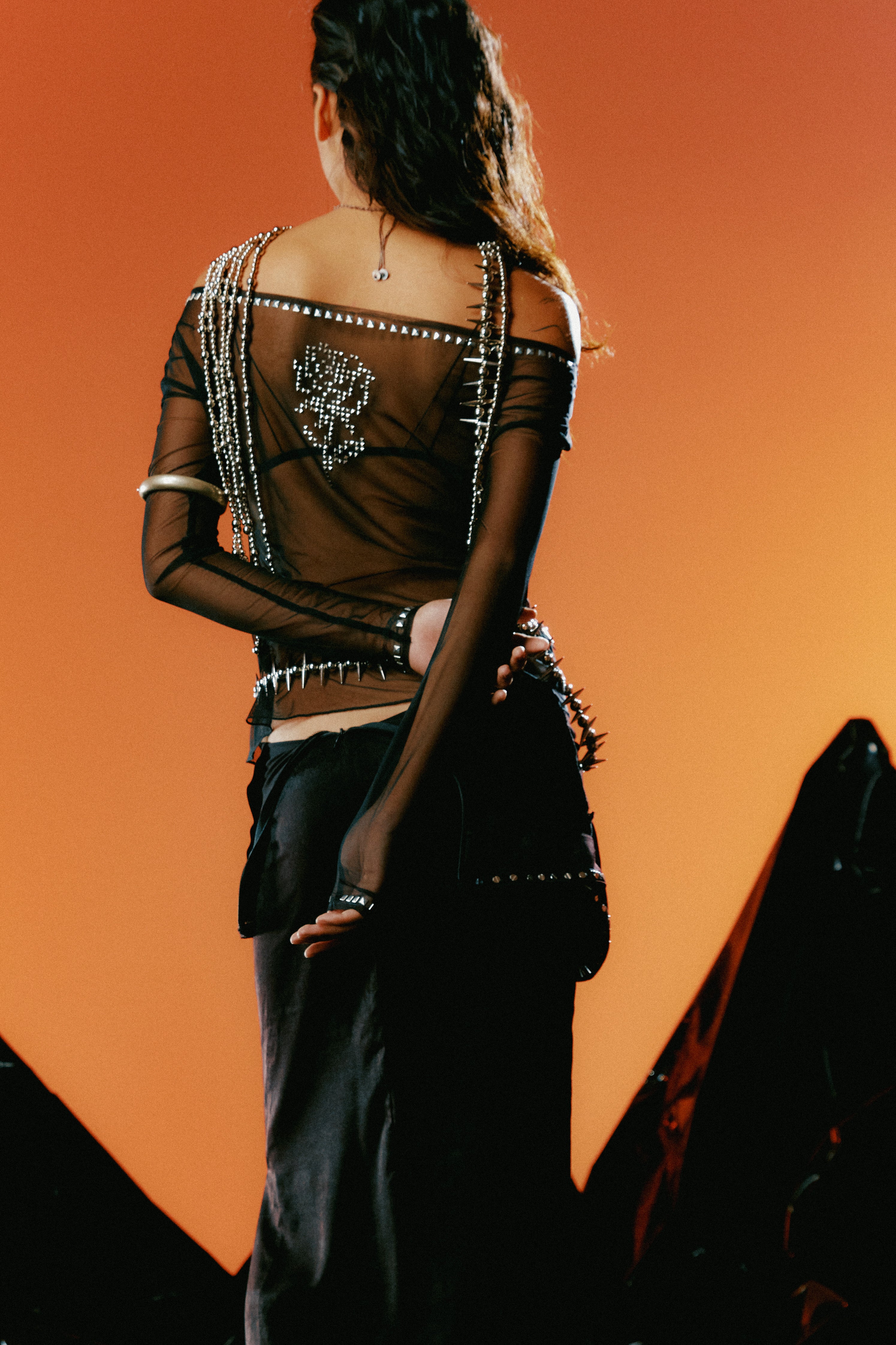 OVER RANGE Rose Studded Mesh Long Sleeve Top – METAL 金
